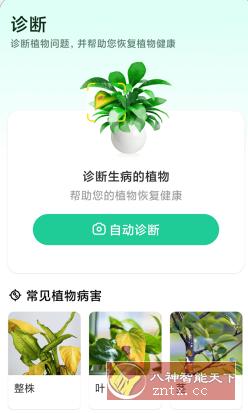 Plant Parent 植物养护v1.100高级版-创新研习社