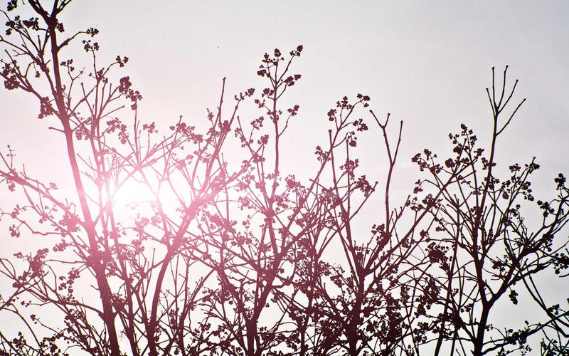 保姆级教程CAD软件+教程 | 跨平台应用+场景拓展 9148-创新研习社