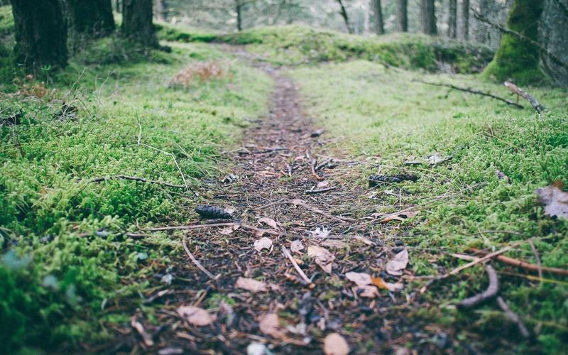 干货分享历史老照片 | 成果展示+经验提炼 2603-创新研习社