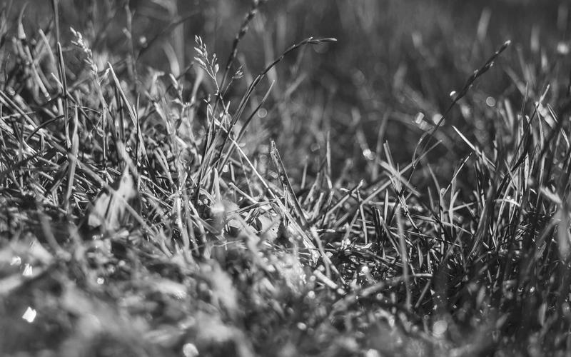 小白必看CAD软件+教程 | 接单赚钱+变现思路 7319-创新研习社