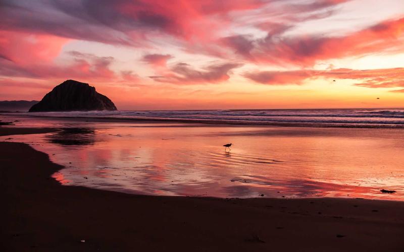 避坑指南office办公软件教程 | 新手问答+高频问题 1484-创新研习社