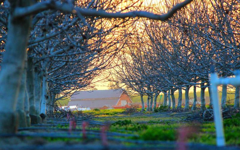 新手入门超大流量卡免费领取 | 常见误区+纠正方法 5713-创新研习社