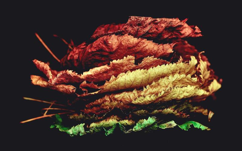 干货分享历史老照片 | 跨平台应用+场景拓展 7330-创新研习社