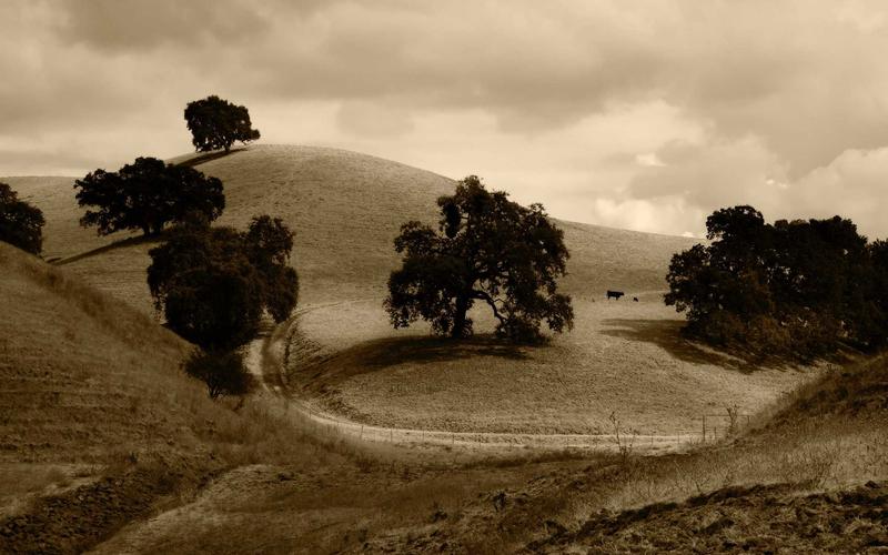 新手入门office办公软件教程 | 跨平台应用+场景拓展 9066-创新研习社