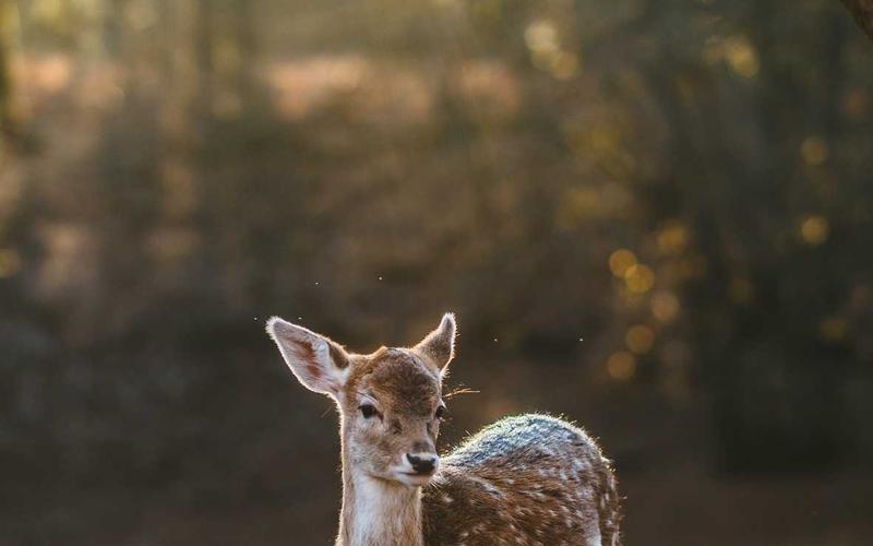 新手入门75个顶部侧边导航栏模板 | 跨平台应用+场景拓展 8350-创新研习社