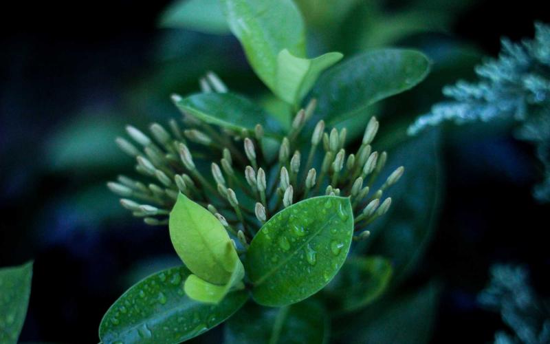 从零开始75个顶部侧边导航栏模板 | 零基础速成+每日计划 5517-创新研习社