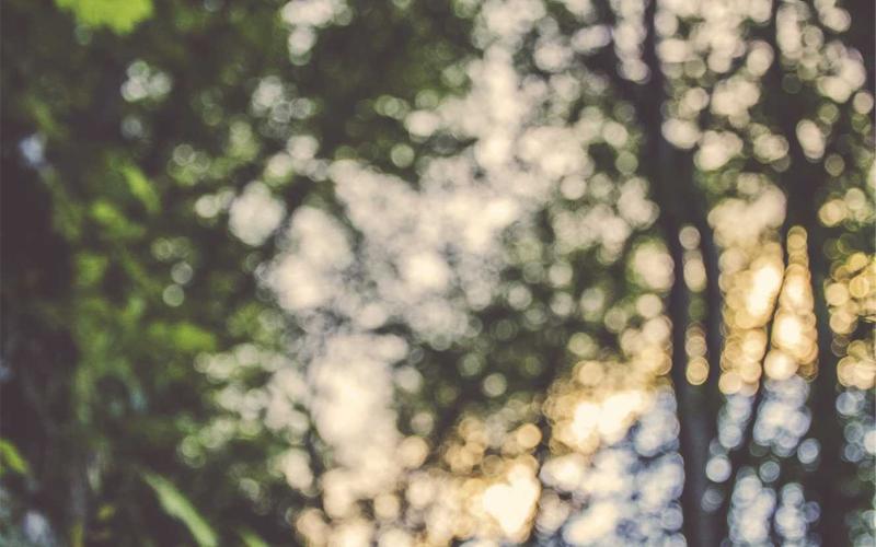 避坑指南魔方教程 | 新手快速上手 1716-创新研习社