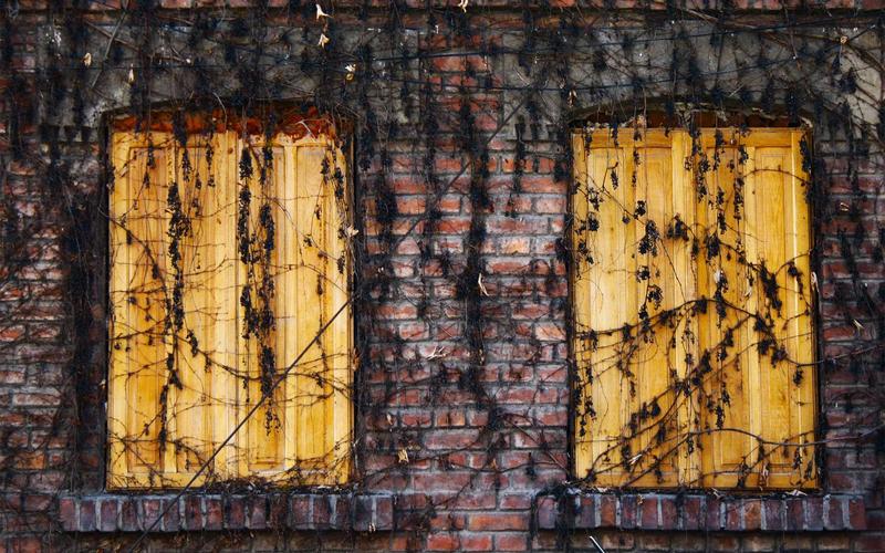 干货分享超大流量卡免费领取 | 进阶技巧+瓶颈突破 4892-创新研习社