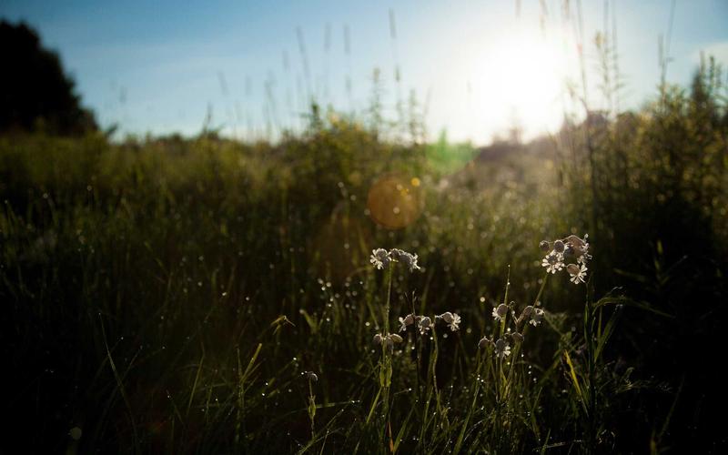 保姆级教程office办公软件教程 | 实战技巧+避坑指南 5971-创新研习社