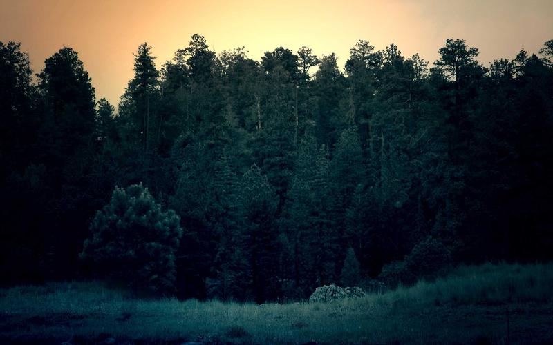 避坑指南office办公软件教程 | 常见误区+纠正方法 2952-创新研习社