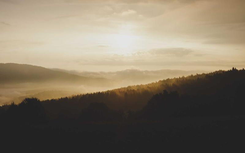 从零开始免费追剧影视神器 | 避坑+高效学习 2622-创新研习社