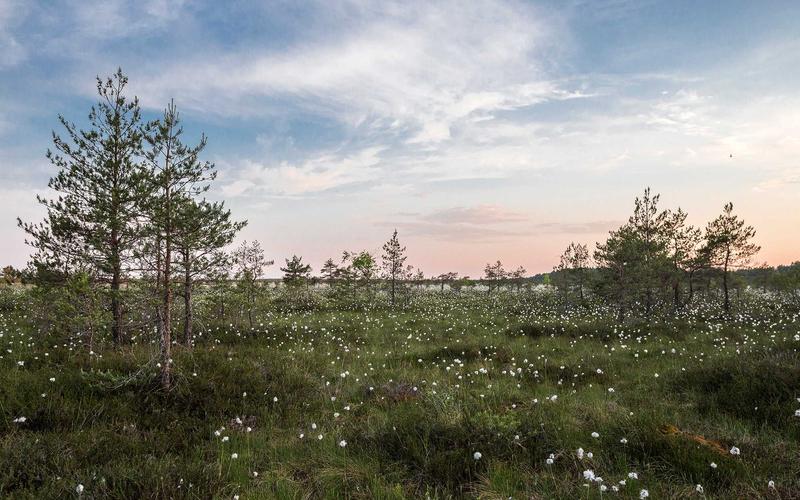 手把手教office办公软件教程 | 工具推荐+资源分享 1840-创新研习社