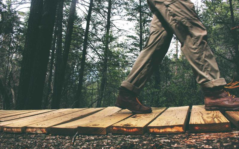 干货分享CAD软件+教程 | 低成本入门+高性价比方案 6709-创新研习社