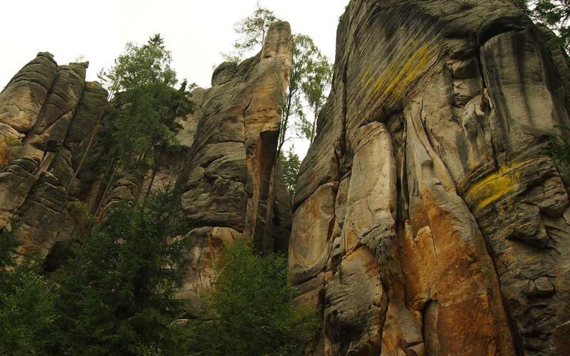 小白必看汽车驾考资料 | 接单赚钱+变现思路 8376-创新研习社