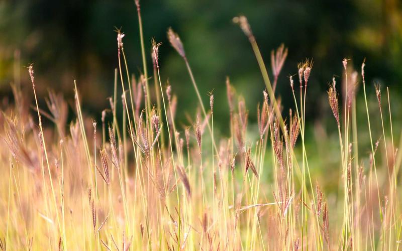 实战指南历史老照片 | 碎片化学习+时间管理 8197-创新研习社