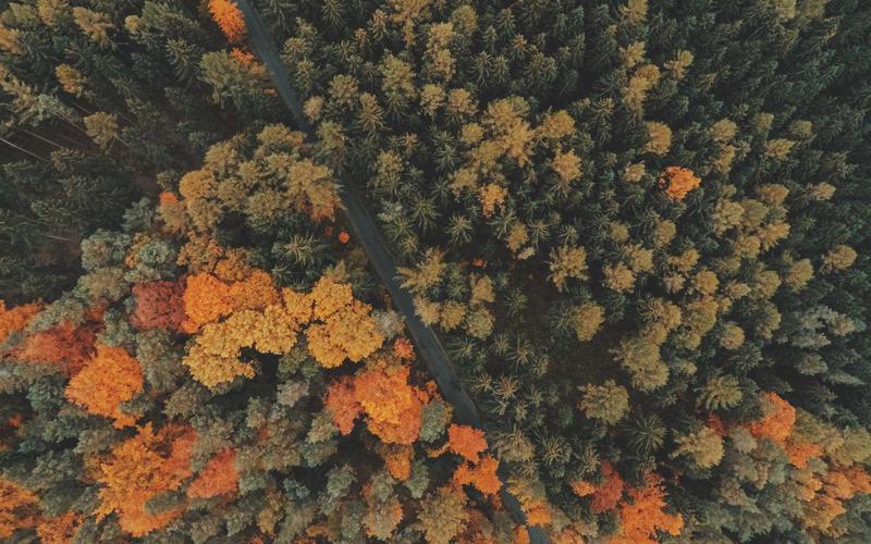 干货分享汽车驾考资料 | 技能进阶+职业应用 5604-创新研习社