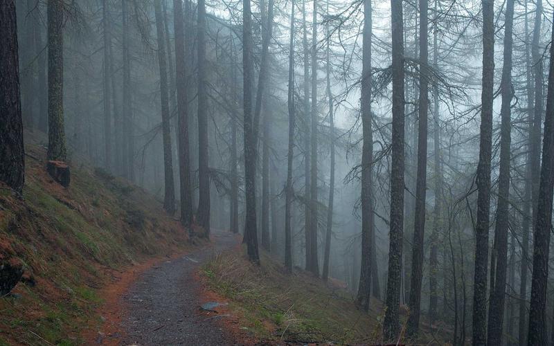 超大流量卡免费领取