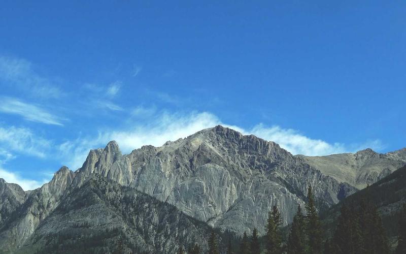 保姆级教程游戏加速器VIP | 副业变现+案例拆解 5912-创新研习社