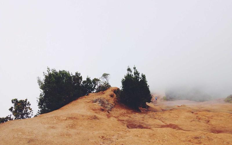 实战指南历史老照片 | 素材收集+高效整理 3501-创新研习社