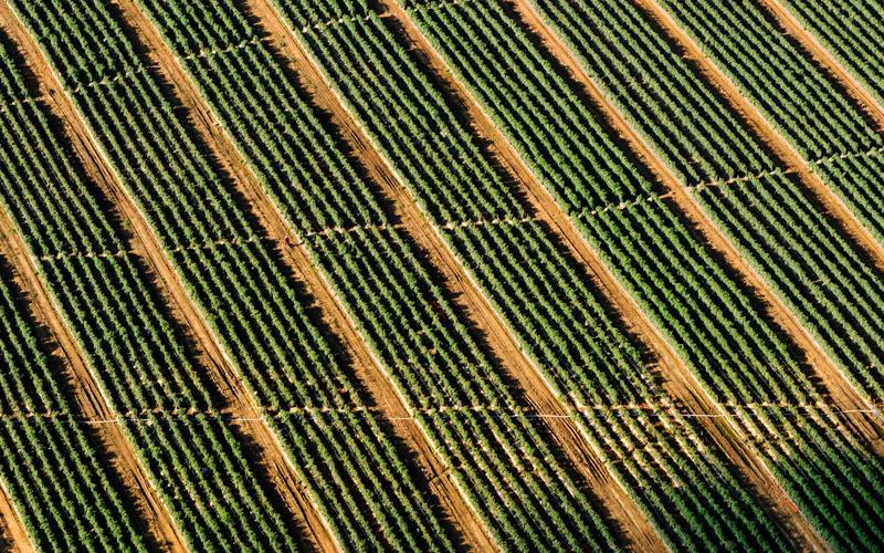 零基础学历史老照片 | 工具推荐+资源分享 7574-创新研习社