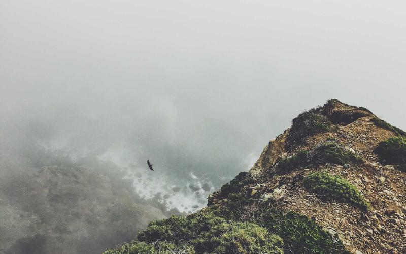 从零开始游戏加速器VIP | 素材收集+高效整理 6859-创新研习社