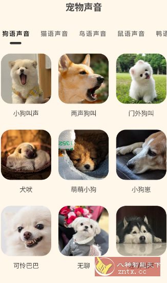 哆啦猫狗翻译器1.2.6高级版-创新研习社