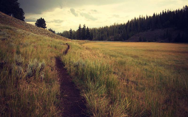 新手入门CAD软件+教程 | 新手问答+高频问题 3021-创新研习社