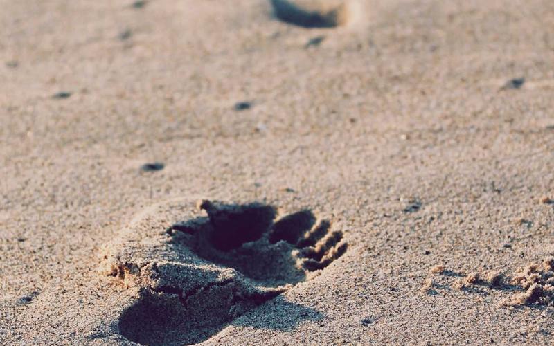 实战指南PPT模板 | 设备/软件选型+避坑 7216-创新研习社