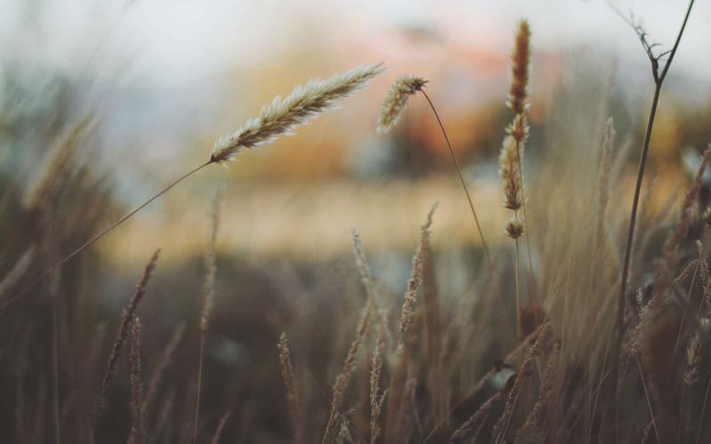 保姆级教程魔方教程 | 副业变现+案例拆解 1155-创新研习社