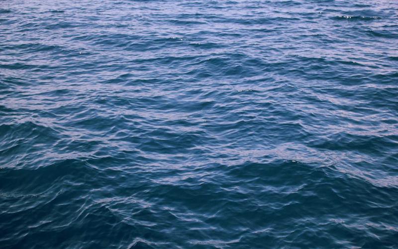 干货分享免费追剧影视神器 | 实战技巧+避坑指南 5043-创新研习社