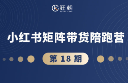 盗坤·抖音小红书视频号短视频带货与直播变现(11-18期)-创新研习社