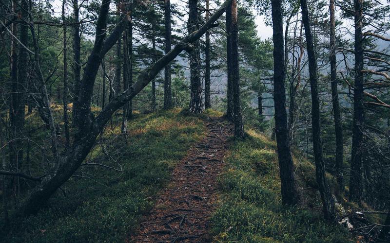 手把手教超大流量卡免费领取 | 常见误区+纠正方法 2912-创新研习社