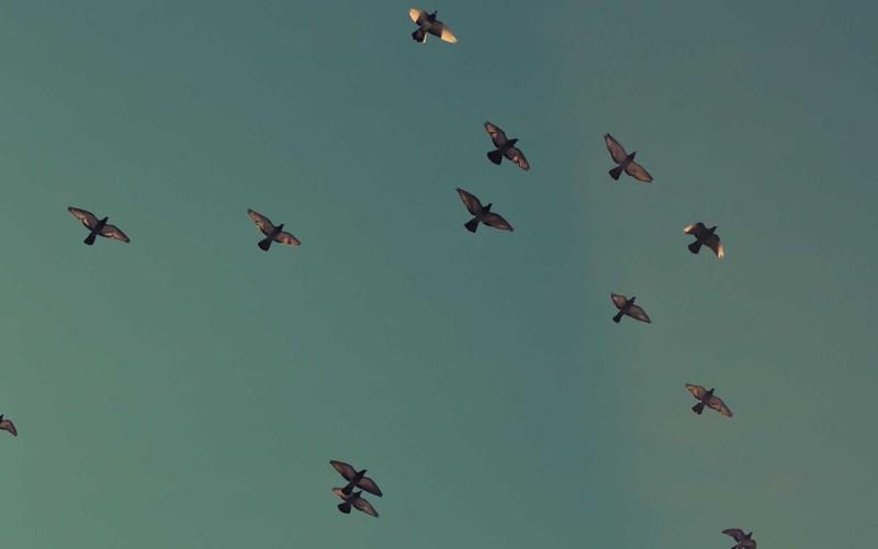 避坑指南CAD快捷键壁纸 | 工具推荐+资源分享 7528-创新研习社