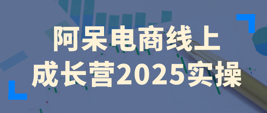 阿呆电商线上成长营2025实操-创新研习社