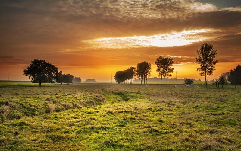 避坑指南office办公软件教程 | 从0到1完整流程 1323-创新研习社