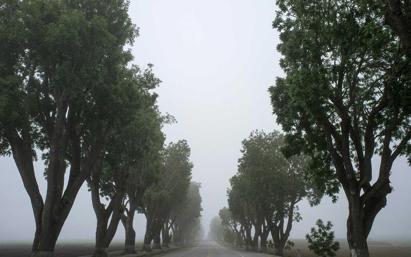 避坑指南PPT模板 | 副业变现+案例拆解 6108-创新研习社