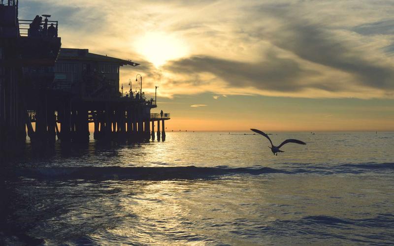 零基础学PPT模板 | 新手快速上手 8700-创新研习社