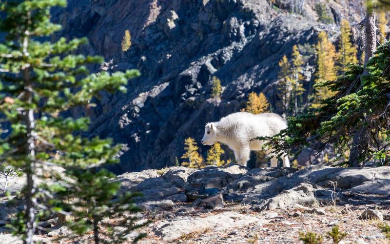 CR视频混剪工具