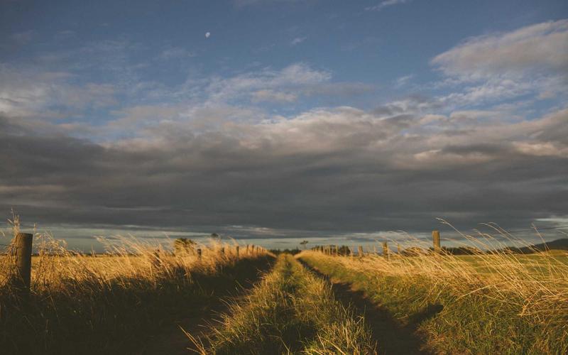 超详细ps软件+教程 | 接单赚钱+变现思路 7860-创新研习社