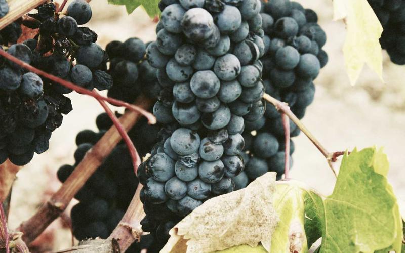 从零开始CAD软件+教程 | 低成本入门+高性价比方案 4157-创新研习社