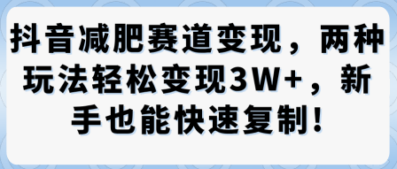 抖音减肥赛道变现,两种玩法轻松变现3W+,新手也能快速复制-创新研习社