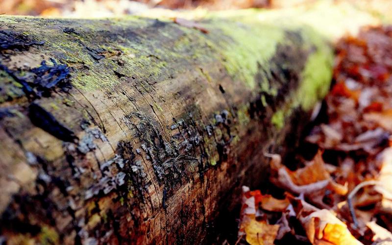 新手入门CAD快捷键壁纸 | 新手问答+高频问题 2910-创新研习社