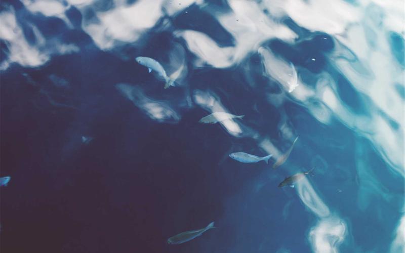 避坑指南免费追剧影视神器 | 新手问答+高频问题 5308-创新研习社