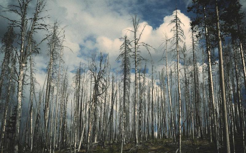 保姆级教程游戏加速器VIP | 成果展示+经验提炼 2612-创新研习社