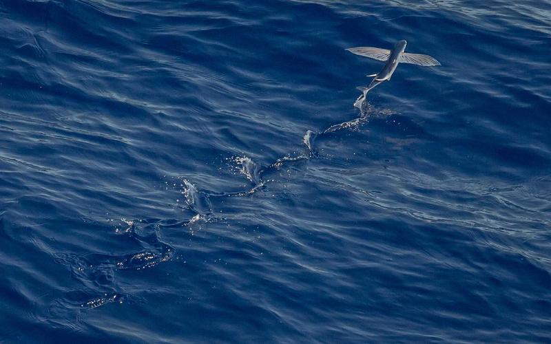 从零开始免费追剧影视神器 | 工具推荐+资源分享 1426-创新研习社