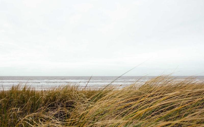 超详细游戏加速器VIP | 副业变现+案例拆解 8350-创新研习社