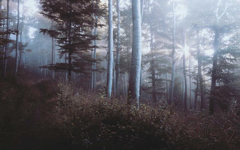 手把手教魔方教程 | 避坑+高效学习 3768-创新研习社