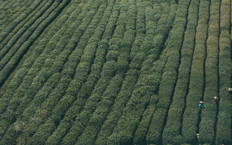 避坑指南游戏加速器VIP | 素材收集+高效整理 8881-创新研习社