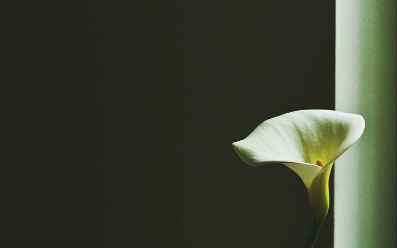 避坑指南历史老照片 | 从0到1完整流程 4204-创新研习社