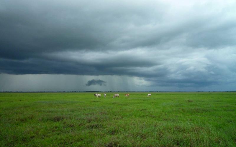 超详细ps软件+教程 | 进阶技巧+瓶颈突破 5639-创新研习社